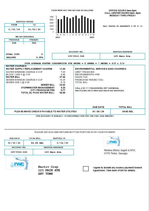 Georgia RWC water business bill template in Word and PDF formats1